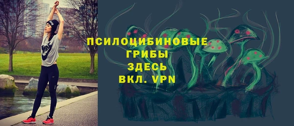 дмт Алексеевка